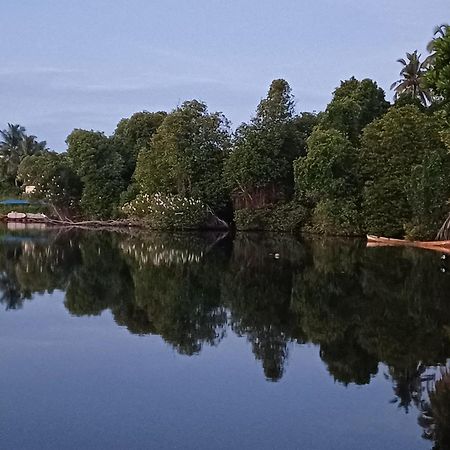 Villa River View 阿鲁特伽马 外观 照片