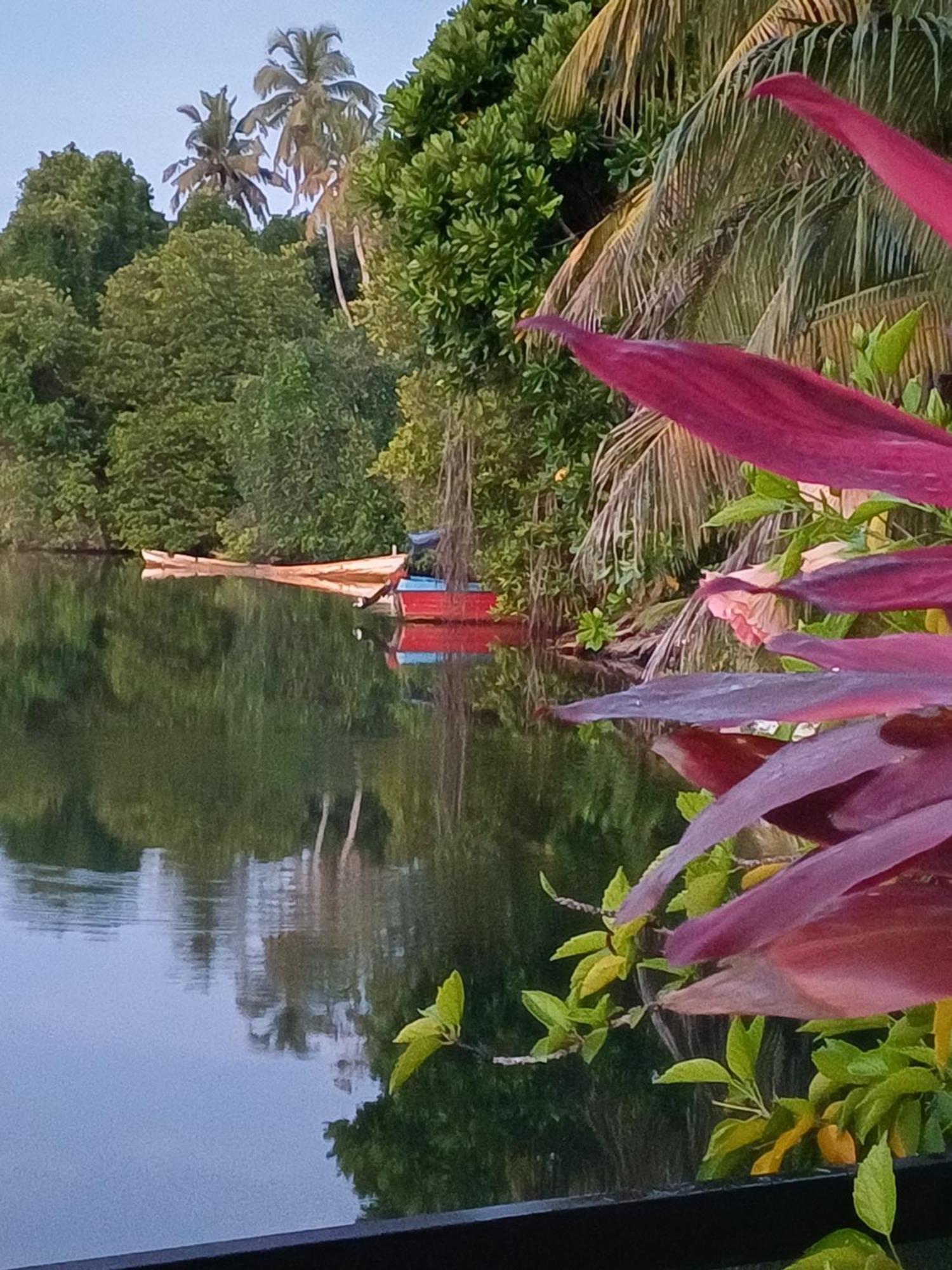 Villa River View 阿鲁特伽马 外观 照片