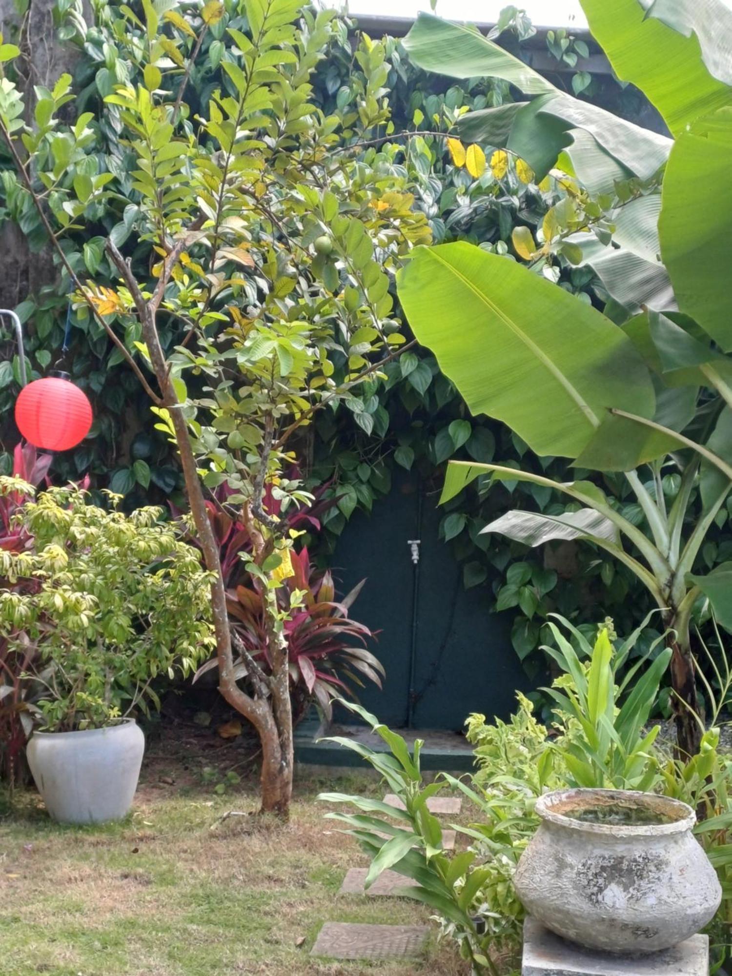 Villa River View 阿鲁特伽马 外观 照片